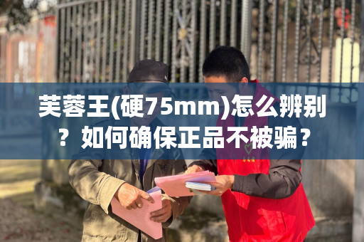 芙蓉王(硬75mm)怎么辨别？如何确保正品不被骗？